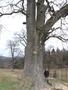 Photo uploaded by <i>Arpi</i> on 05/02/2017