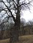Photo uploaded by <i>Arpi</i> on 05/02/2017