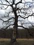 Photo uploaded by <i>Arpi</i> on 05/02/2017