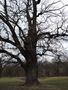 Photo uploaded by <i>Arpi</i> on 05/02/2017