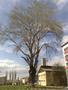 Photo uploaded by <i>aurel</i> on 05/02/2017