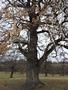 Photo uploaded by <i>Arpi</i> on 05/02/2017