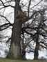 Photo uploaded by <i>Arpi</i> on 05/02/2017