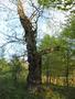 Photo uploaded by <i>Arpi</i> on 05/02/2017