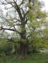 Photo uploaded by <i>Arpi</i> on 05/02/2017