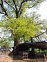 Photo uploaded by <i>Arpi</i> on 05/02/2017