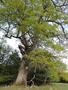 Photo uploaded by <i>Arpi</i> on 05/02/2017