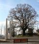 Imagine încărcată de <i>GligorAdrianBorza</i> în data de 02.05.2017