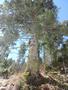 Photo uploaded by <i>Arpi</i> on 05/02/2017
