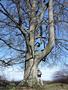 Photo uploaded by <i>Arpi</i> on 05/02/2017