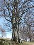 Photo uploaded by <i>Arpi</i> on 05/02/2017