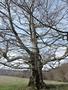 Photo uploaded by <i>Arpi</i> on 05/02/2017