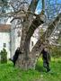 Photo uploaded by <i>KLPeter</i> on 05/02/2017