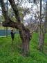 Photo uploaded by <i>KLPeter</i> on 05/02/2017