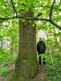 Photo uploaded by <i>KLPeter</i> on 05/02/2017