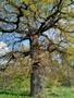 Photo uploaded by <i>KLPeter</i> on 05/02/2017