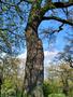 Photo uploaded by <i>KLPeter</i> on 05/02/2017