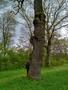 Photo uploaded by <i>KLPeter</i> on 05/02/2017