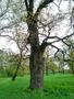 Photo uploaded by <i>KLPeter</i> on 05/02/2017