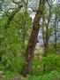 Photo uploaded by <i>KLPeter</i> on 05/02/2017