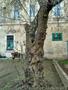 Photo uploaded by <i>KLPeter</i> on 05/02/2017