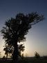 Photo uploaded by <i>dragos.bora</i> on 05/05/2017