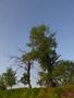 Photo uploaded by <i>dragos.bora</i> on 05/05/2017