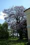 Photo uploaded by <i>dragos.bora</i> on 05/05/2017
