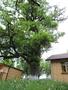 Photo uploaded by <i>Arpi</i> on 05/10/2017