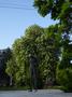 Photo uploaded by <i>dragos.bora</i> on 05/12/2017