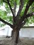 Photo uploaded by <i>Arpi</i> on 05/26/2017