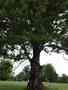Photo uploaded by <i>Arpi</i> on 05/31/2017