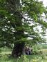 Photo uploaded by <i>Arpi</i> on 05/31/2017