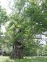 Photo uploaded by <i>Arpi</i> on 06/02/2017