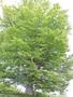 Photo uploaded by <i>Arpi</i> on 06/03/2017