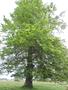 Photo uploaded by <i>Arpi</i> on 06/03/2017