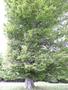 Photo uploaded by <i>Arpi</i> on 06/03/2017