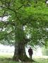 Photo uploaded by <i>Arpi</i> on 06/03/2017