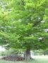 Photo uploaded by <i>Arpi</i> on 06/03/2017