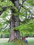 Photo uploaded by <i>Arpi</i> on 06/03/2017