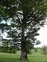 Photo uploaded by <i>Arpi</i> on 06/03/2017