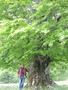 Photo uploaded by <i>Arpi</i> on 06/03/2017