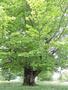 Photo uploaded by <i>Arpi</i> on 06/03/2017