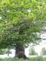 Photo uploaded by <i>Arpi</i> on 06/04/2017