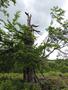 Photo uploaded by <i>Arpi</i> on 06/04/2017