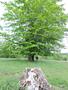 Photo uploaded by <i>Arpi</i> on 06/04/2017