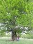 Photo uploaded by <i>Arpi</i> on 06/04/2017