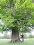 Photo uploaded by <i>Arpi</i> on 06/04/2017