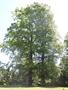 Photo uploaded by <i>Arpi</i> on 06/12/2017