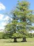Photo uploaded by <i>Arpi</i> on 06/12/2017
